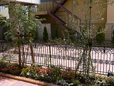 優しい雰囲気のある華やかな植栽